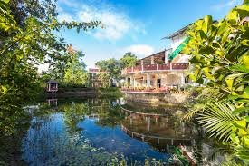 manas jungle retreat
