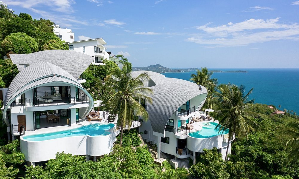 The Spot Thailand