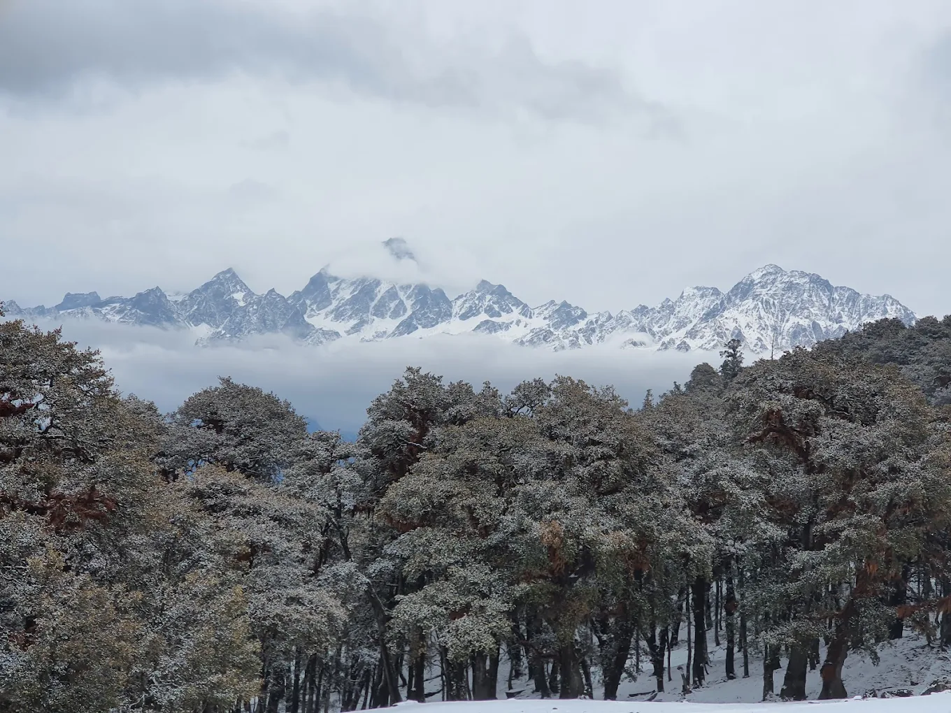THE CLIFFTOP CLUB RESORT AULI