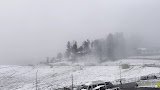 THE VINTAGE GULMARG