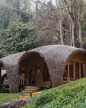 LAZULA : Forest Retreat