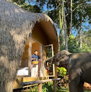 LAZULA : Forest Retreat