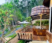 LAZULA : Forest Retreat