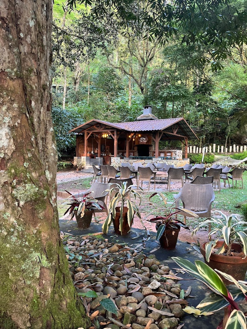 The Tall Trees Resorts