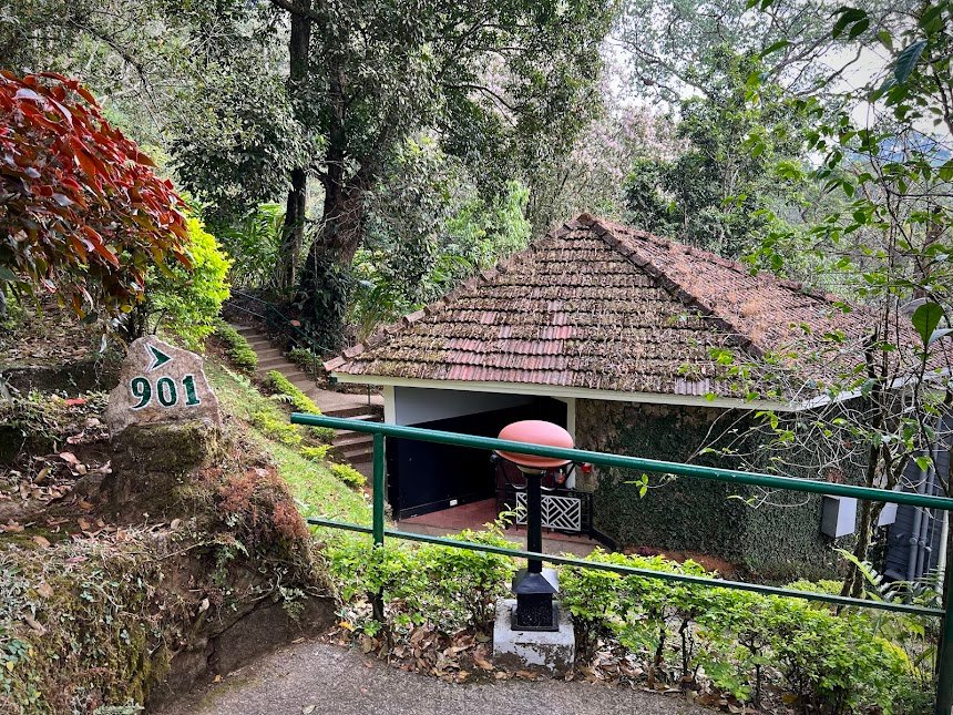 The Tall Trees Resorts
