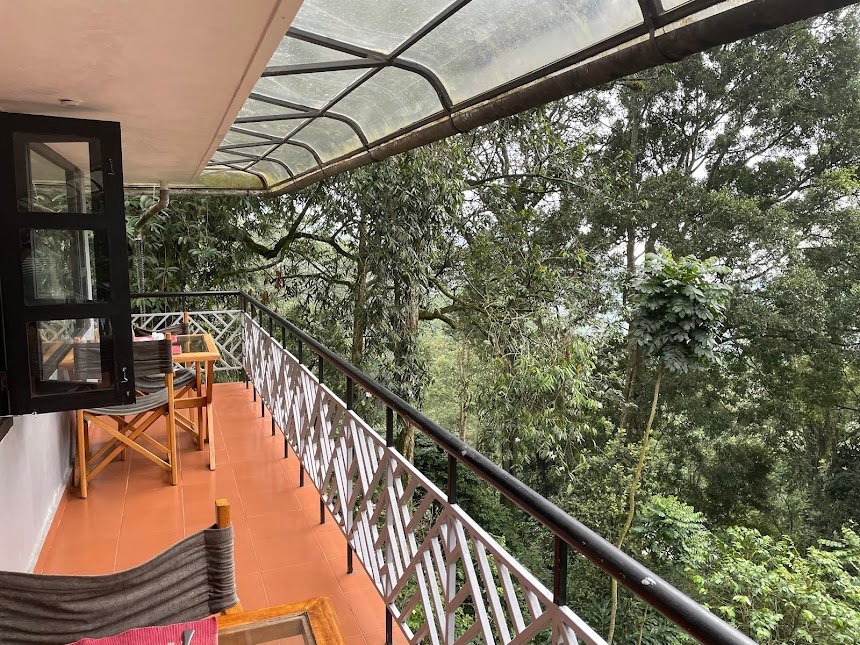The Tall Trees Resorts