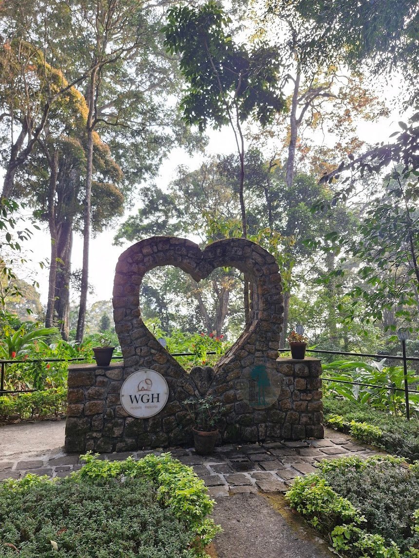 The Tall Trees Resorts