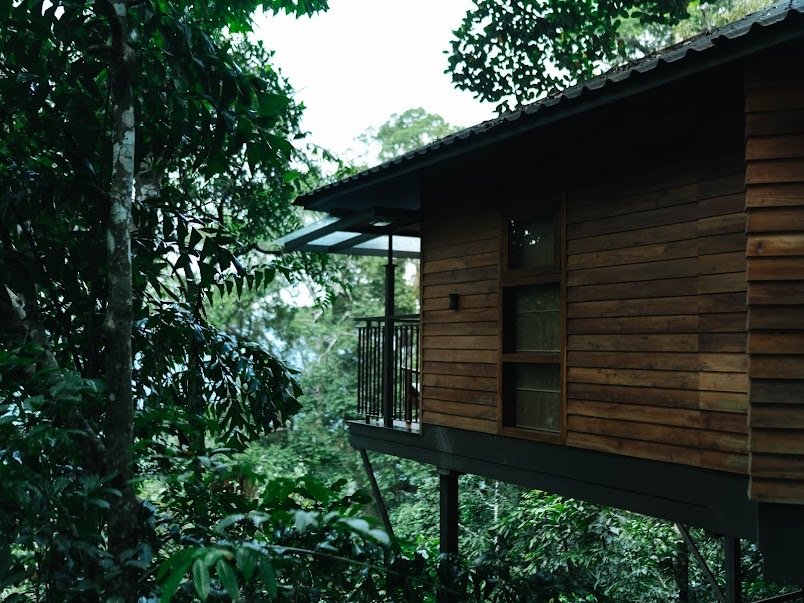 Chembarathi Wayanad Boutique Resort