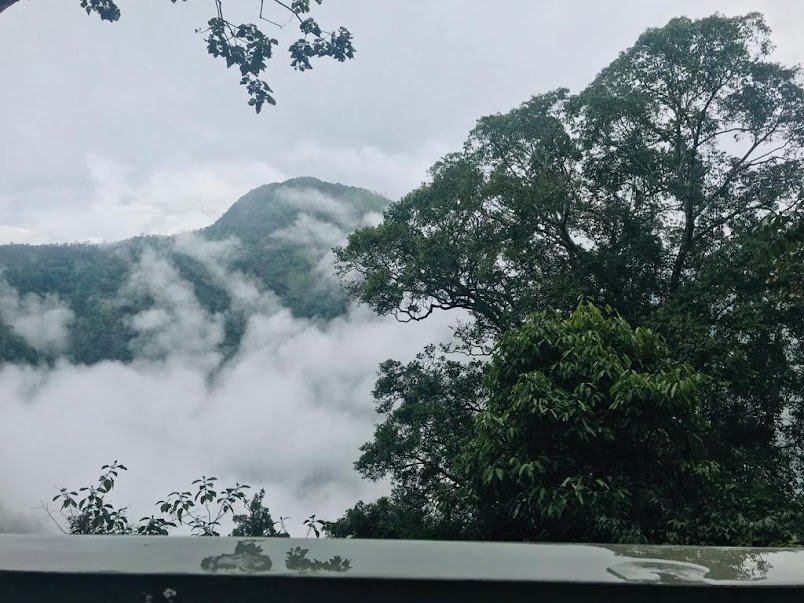 Chembarathi Wayanad Boutique Resort