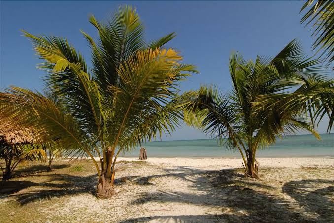 Silver Sand Beach Resort
