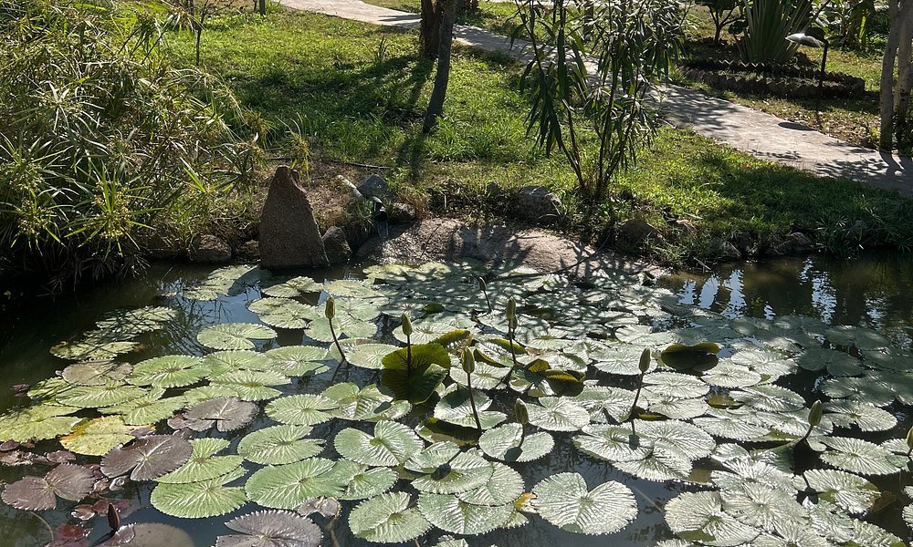 Hampi's Feathers Resort