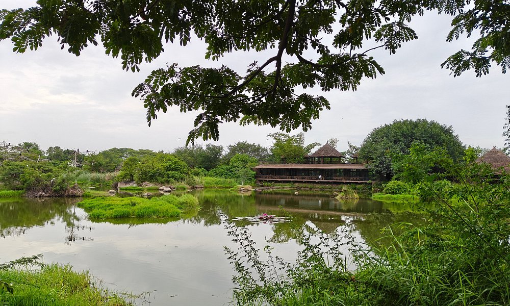 Hampi's Feathers Resort