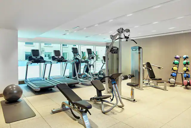 Hilton Garden Inn Dubai, Mall Avenue