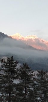 Lemon Tree Resort, Thimphu Bhutan